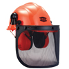 Casque complet forestier